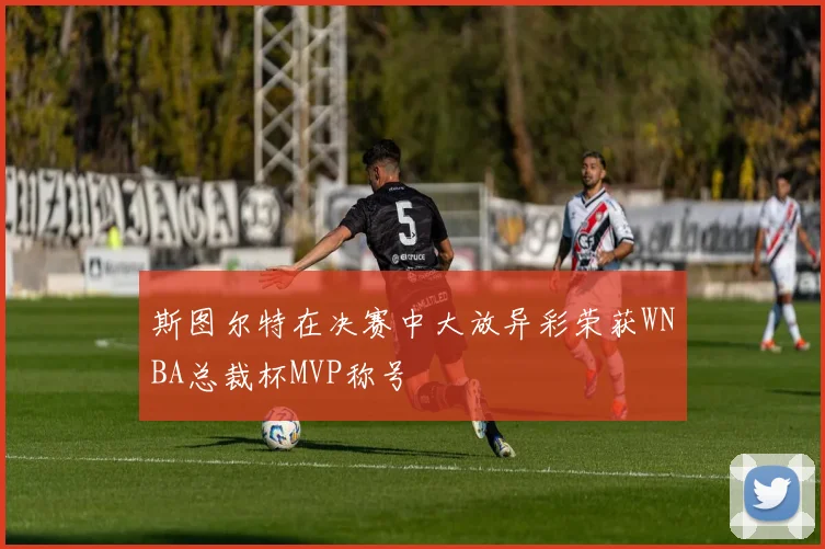斯图尔特在决赛中大放异彩荣获WNBA总裁杯MVP称号