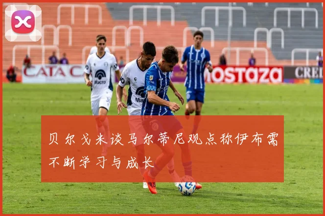 贝尔戈米谈马尔蒂尼观点称伊布需不断学习与成长