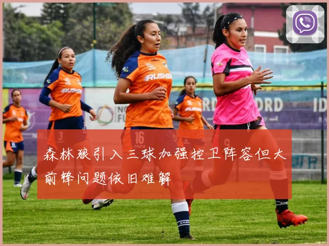 森林狼引入三球加强控卫阵容但大前锋问题依旧难解