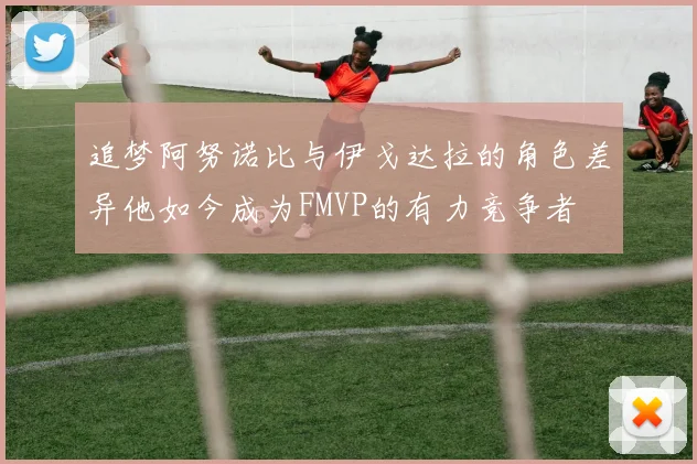 追梦阿努诺比与伊戈达拉的角色差异他如今成为FMVP的有力竞争者