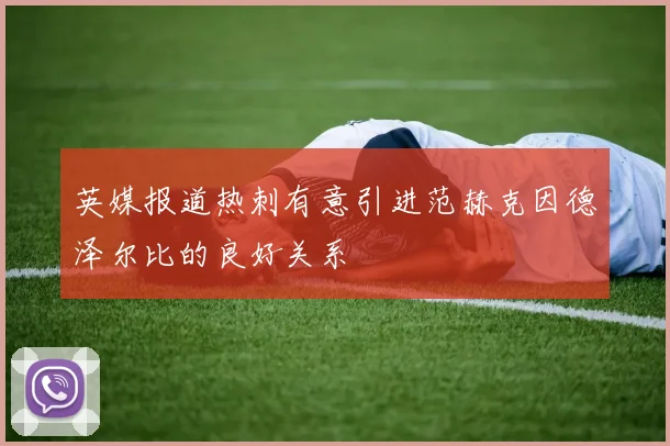 英媒报道热刺有意引进范赫克因德泽尔比的良好关系