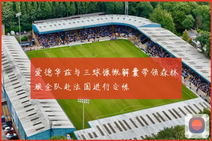 爱德华兹与三球慷慨解囊带领森林狼全队赴法国进行合练